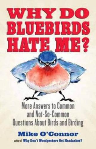 Why do bluebirds hate me?