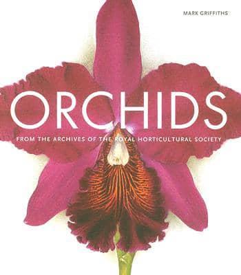 Orchids