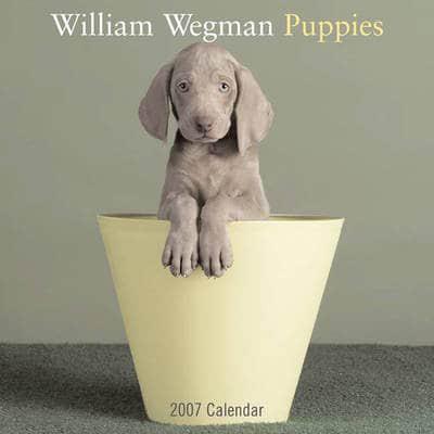 William Wegman Puppies 2007 Wall Calendar