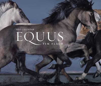 Equus 2011 Wall Calendar