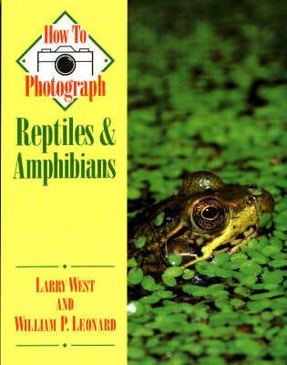 How to Photograph Reptiles & Amphibians