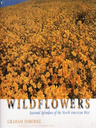 Wildflowers