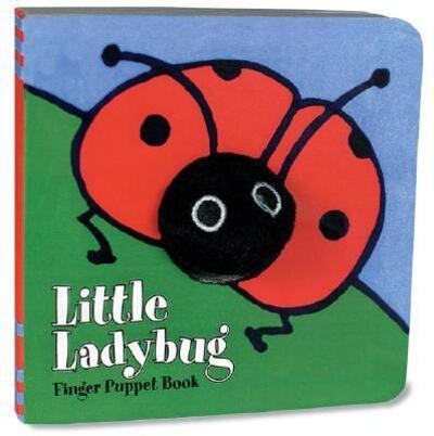 Little Ladybug