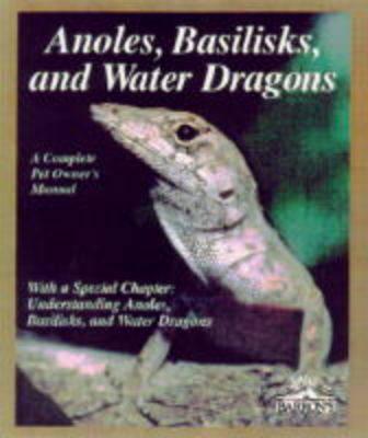 Anoles, Basilisks, and Water Dragons