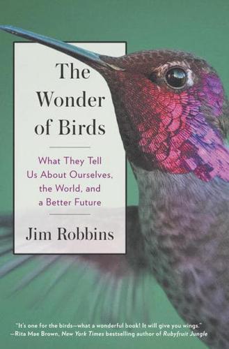 The Wonder of Birds