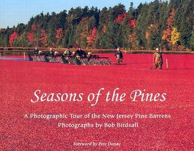 Seasons of the Pines