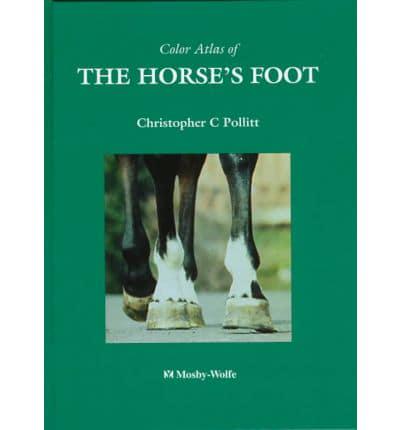 Color Atlas of the Horse's Foot