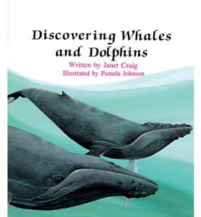 Discovering Whales and Dolphins