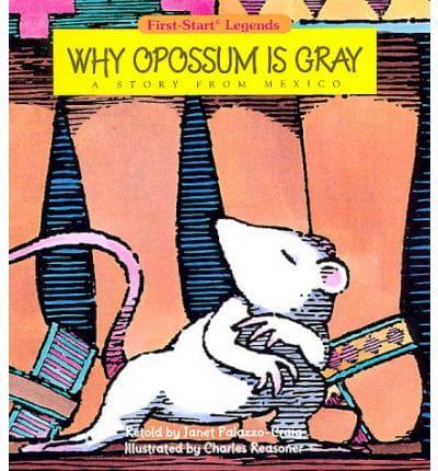 Why Opossum Is Gray
