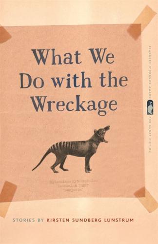 What We Do with the Wreckage: Stories