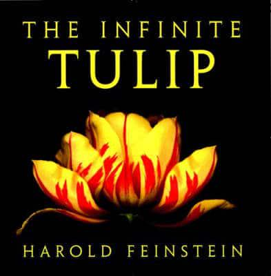 The Infinite Tulip