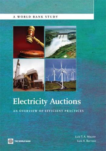 Electricity Auctions: An Overview of Efficient Practices