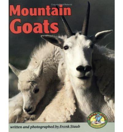 Mountain Goats