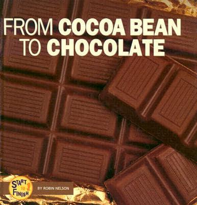 From Cocoa Bean to Chocolate