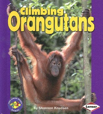 Climbing Orangutans