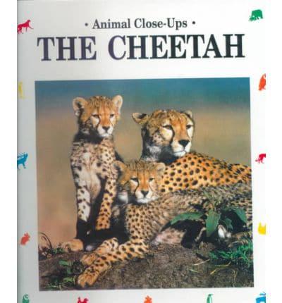 The Cheetah