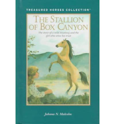 The Stallion of Box Canyon
