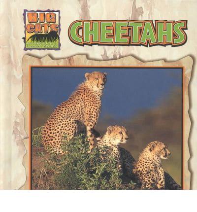 Cheetahs