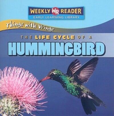 The Life Cycle of a Hummingbird