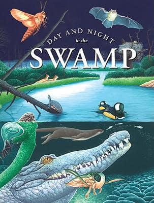 Day and Night in the Swamp