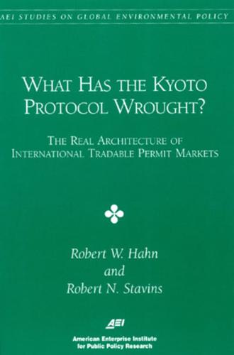 What Has the Kyoto Protocol Wrought?