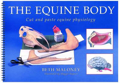 The Equine Body