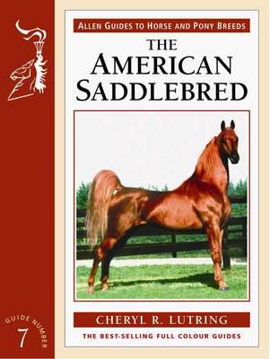 The American Saddlebred