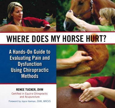 Where Does My Horse Hurt?