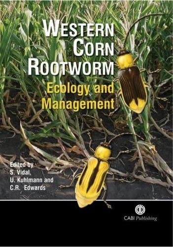 Western Corn Rootworm