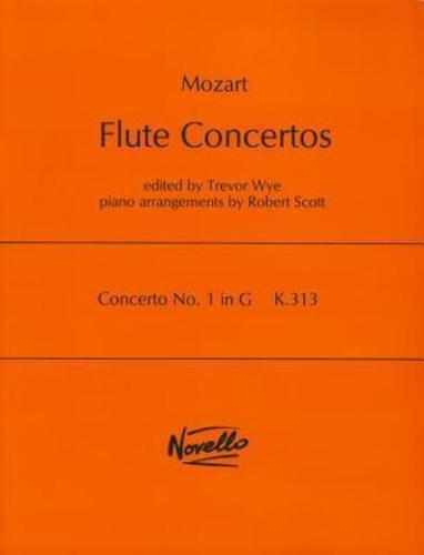 Concerto No. 1 in G, K.313