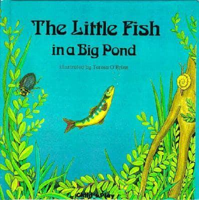 The Little Fish in a Big Pond