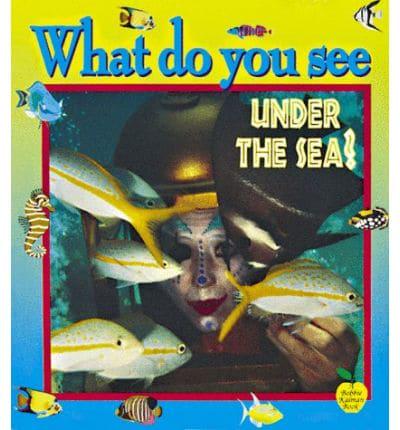 What Do You See Under the Sea?