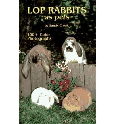 Lop Rabbits as Pets