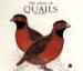 The Atlas of Quails