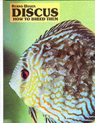 Discus, How to Breed Them