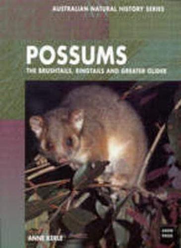 Possums of Australia