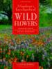 A Gardener's Encyclopedia of Wildflowers