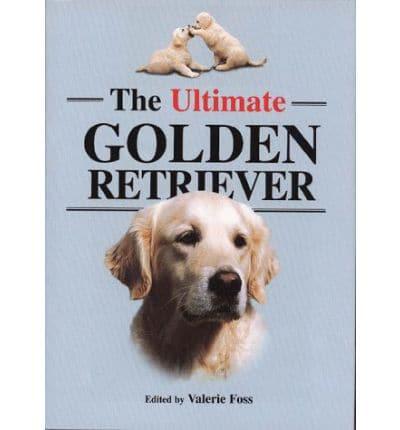 The Ultimate Golden Retriever