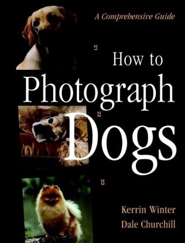 How to Photograph Dogs