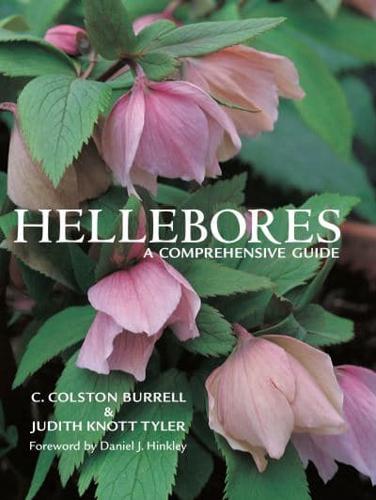 Hellebores