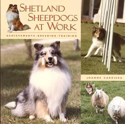 Shetland Sheepdogs at Work: Achievements, Breeding, Training