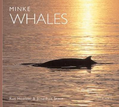 Minke Whales