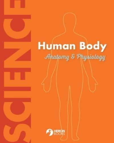 Human Body Anatomy and Physiology