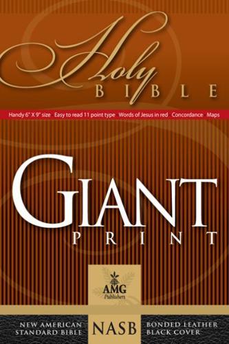 Giant Print Handy-Size Reference Bible