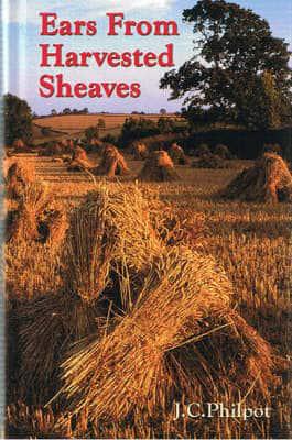 Ears from Harvested Sheaves