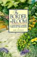 The Border in Bloom
