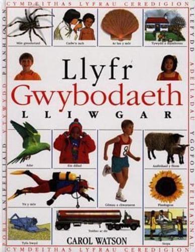 Llyfr Gwybodaeth Lliwgar