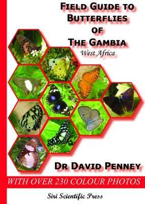 Field Guide to Butterflies of the Gambia, West Africa