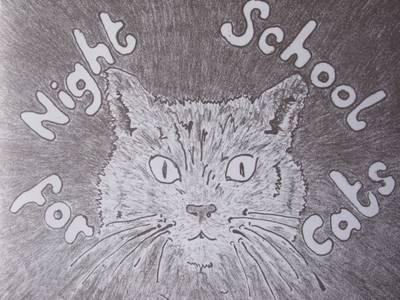 Night School for Cats