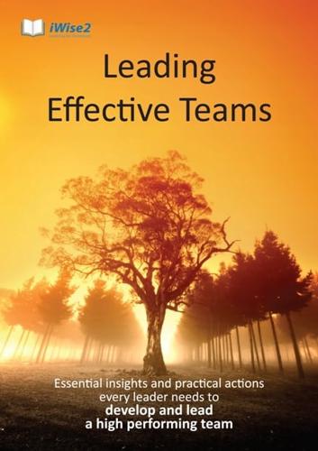 Leading Effective Teams